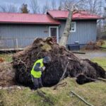 Storm Damage and Hazardous Trees