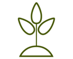 tree sprout icon