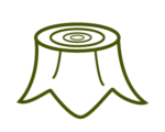 tree stump icon